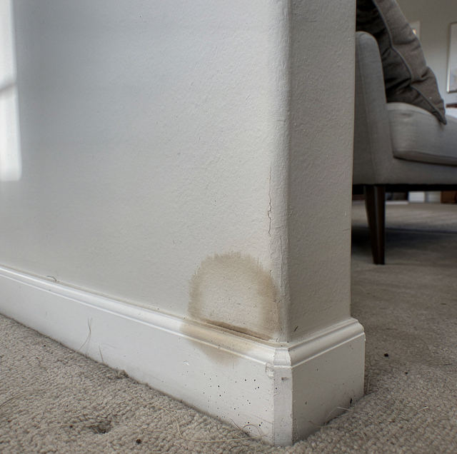 interior wall with water stain on drywall corner