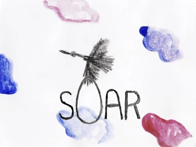 Soar.jpg
