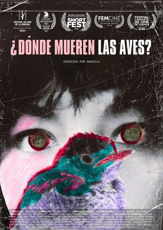 Where do birds die? .jpg