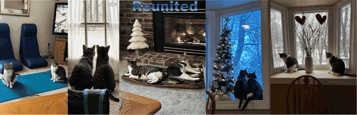 Adoption Success Story: HERMIONE AND RONALD