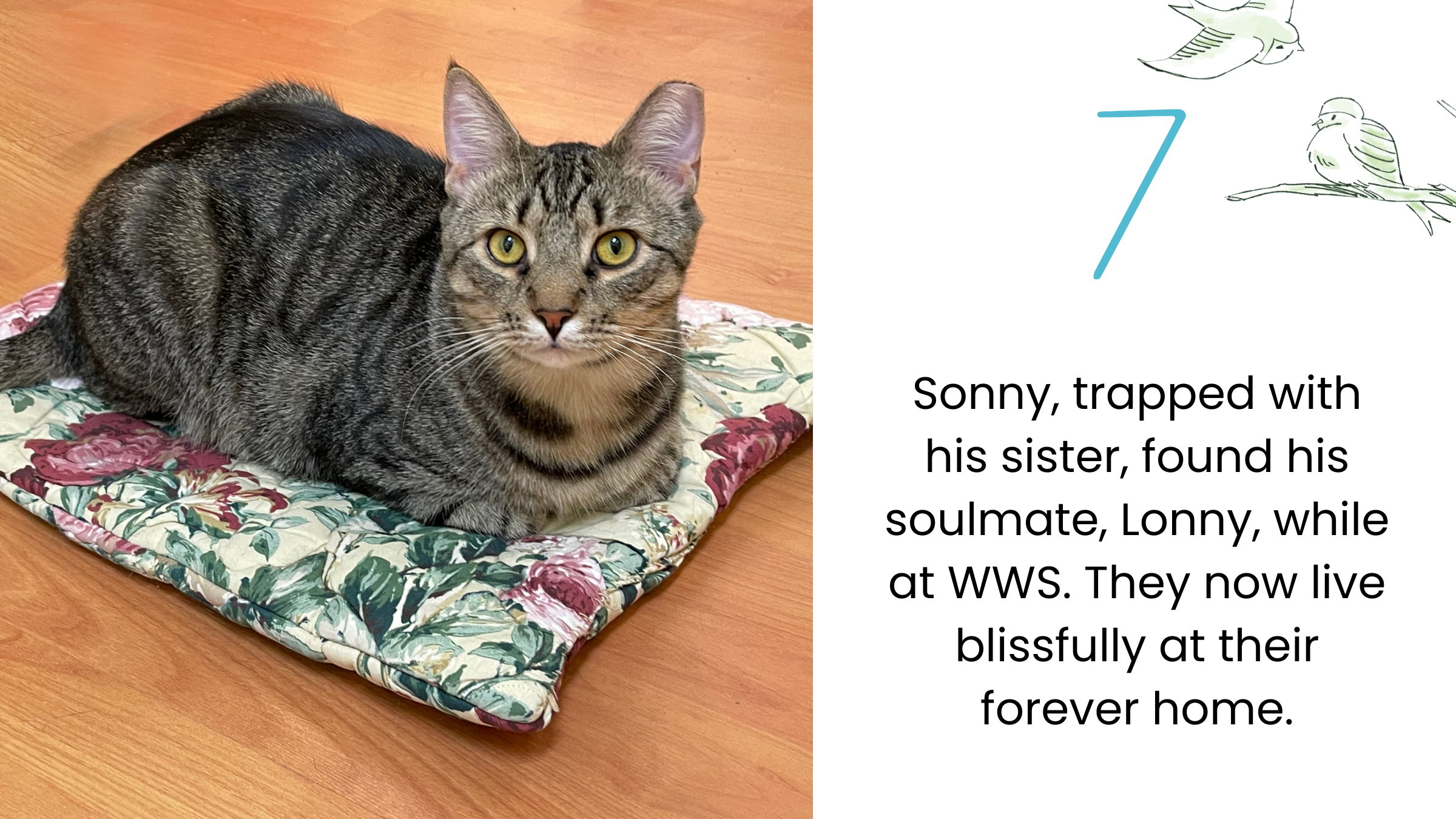 7 - Sonny