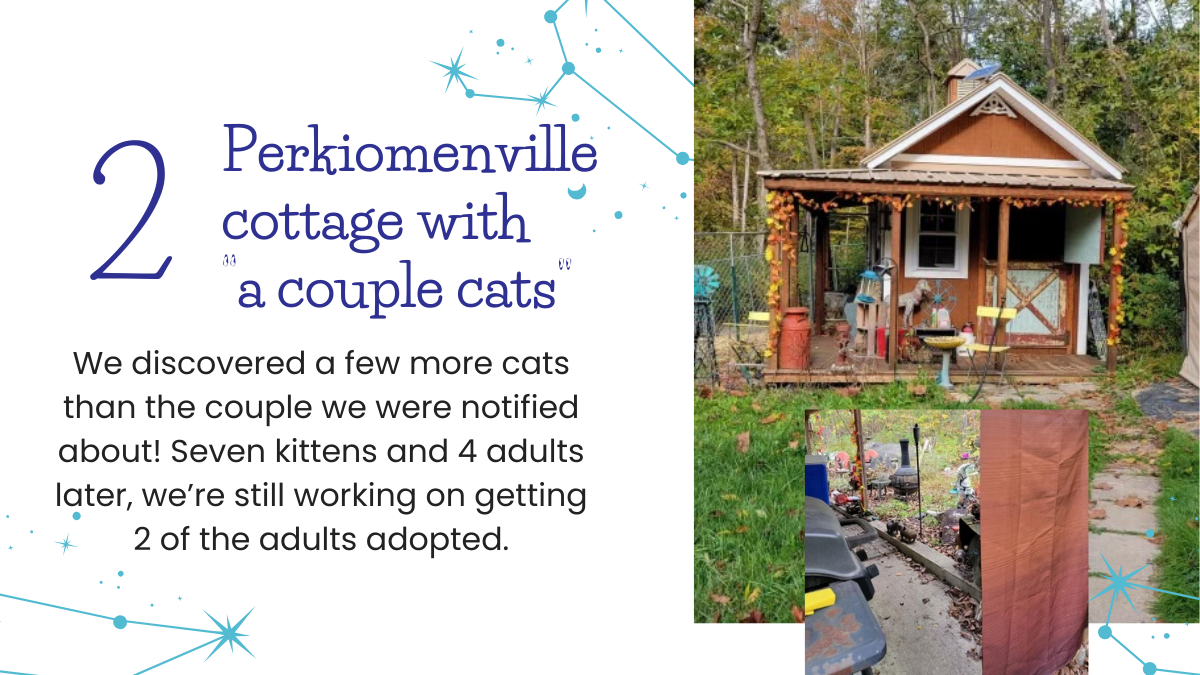 #2 Perkiomenville cottage with “a couple cats”