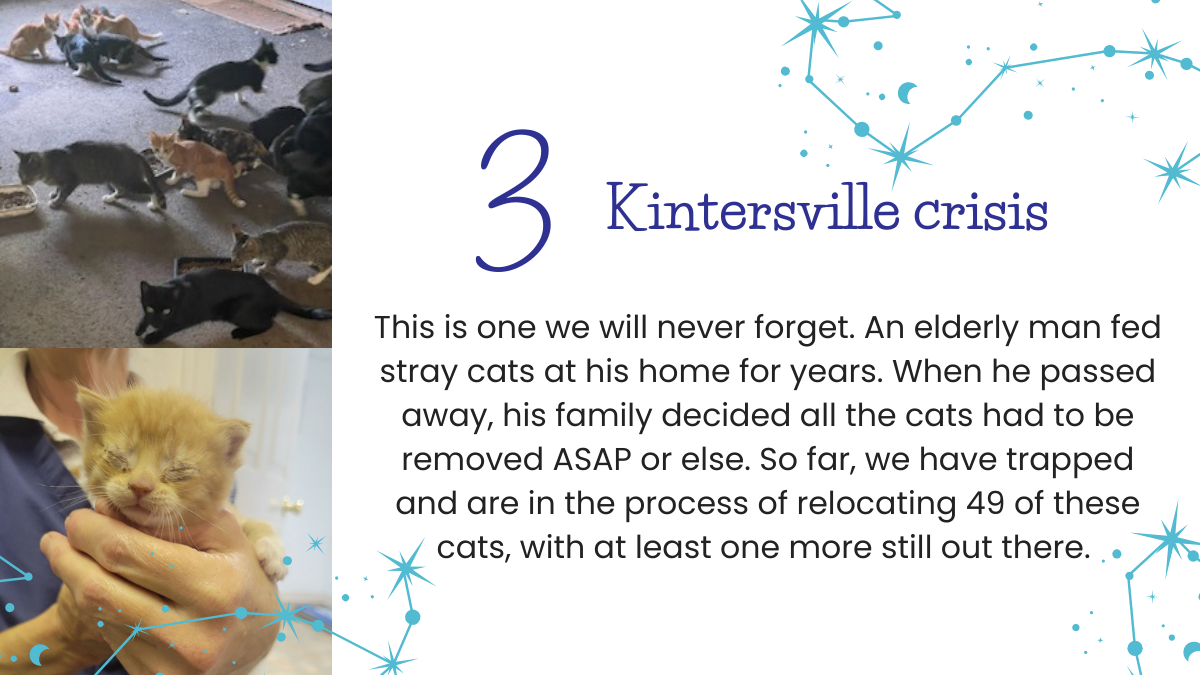 #3 Kintersville crisis