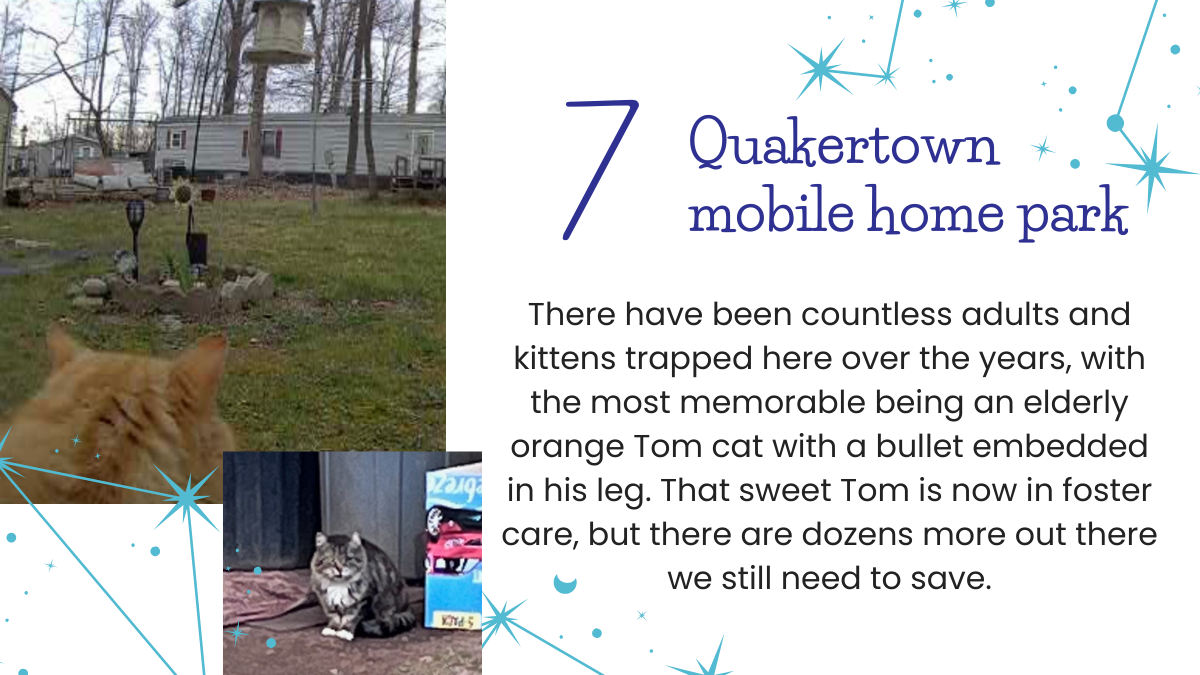 #7 Quakertown mobile home park 