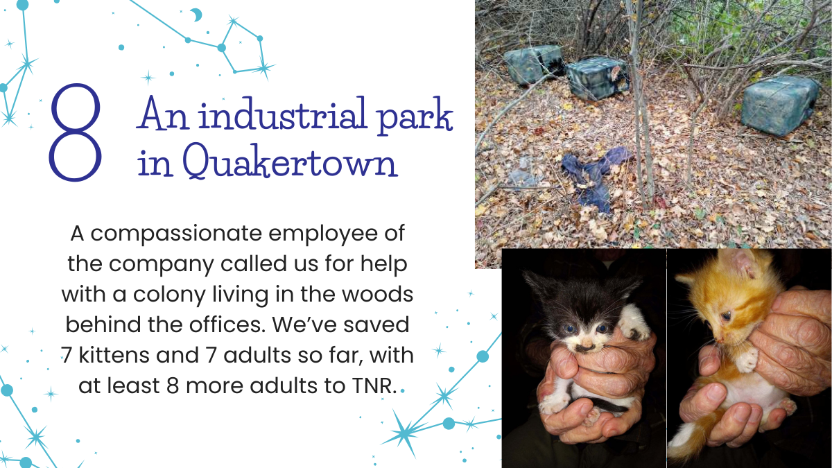 #8 An industrial park in Quakertown
