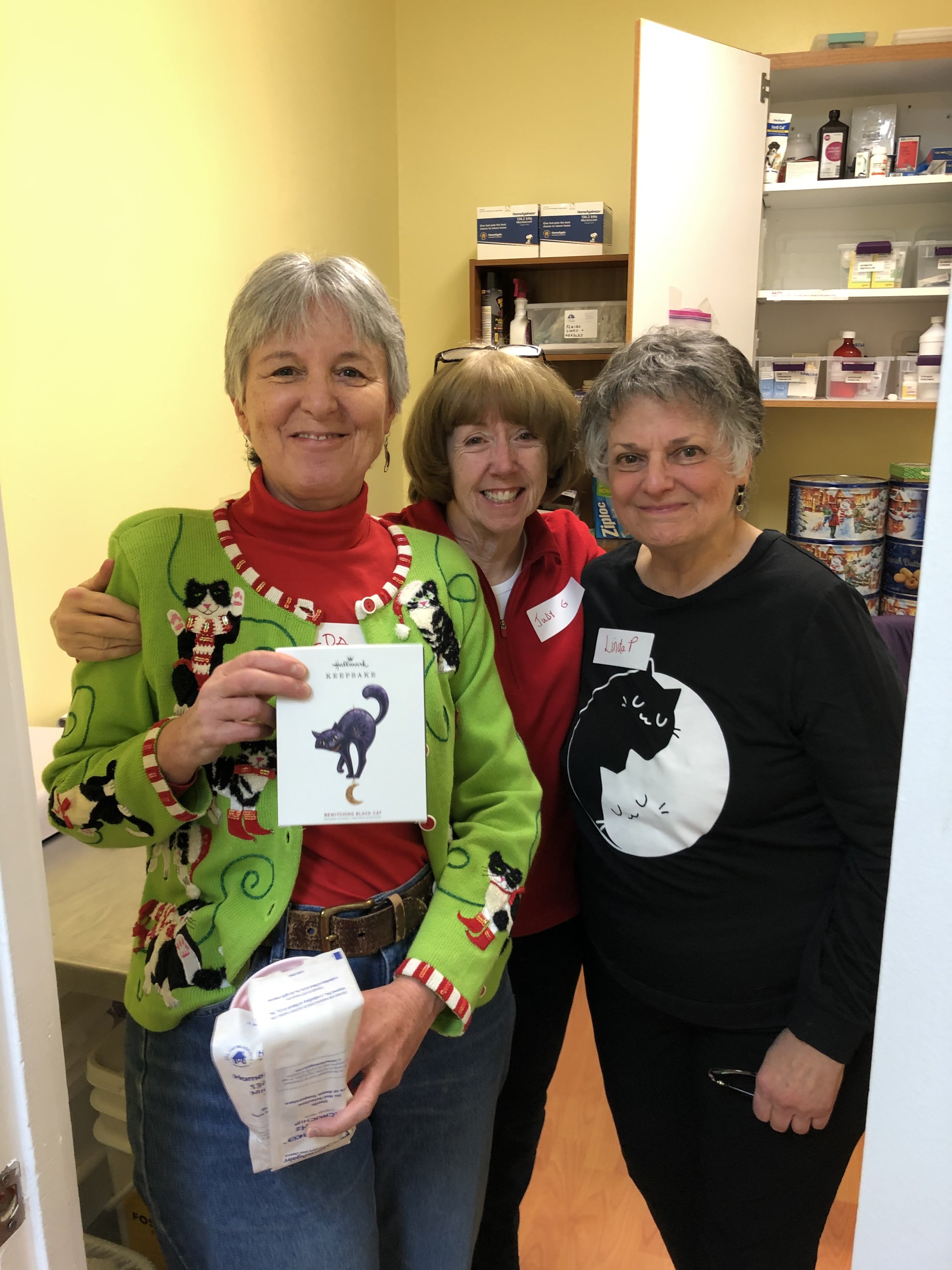 Volunteer of the Month: Linda Palmarozza