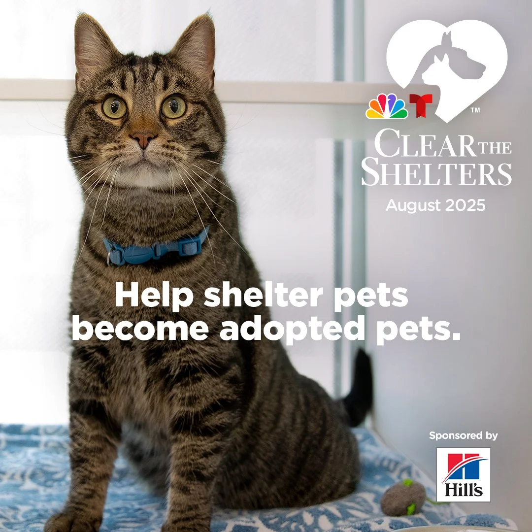 Clear The Shelters