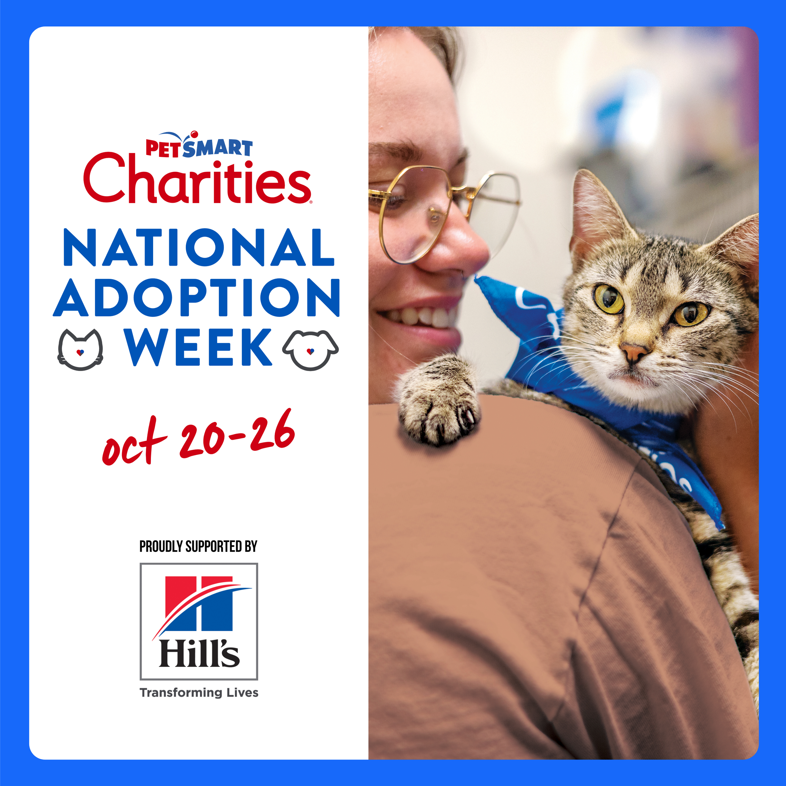 National Adoption Week