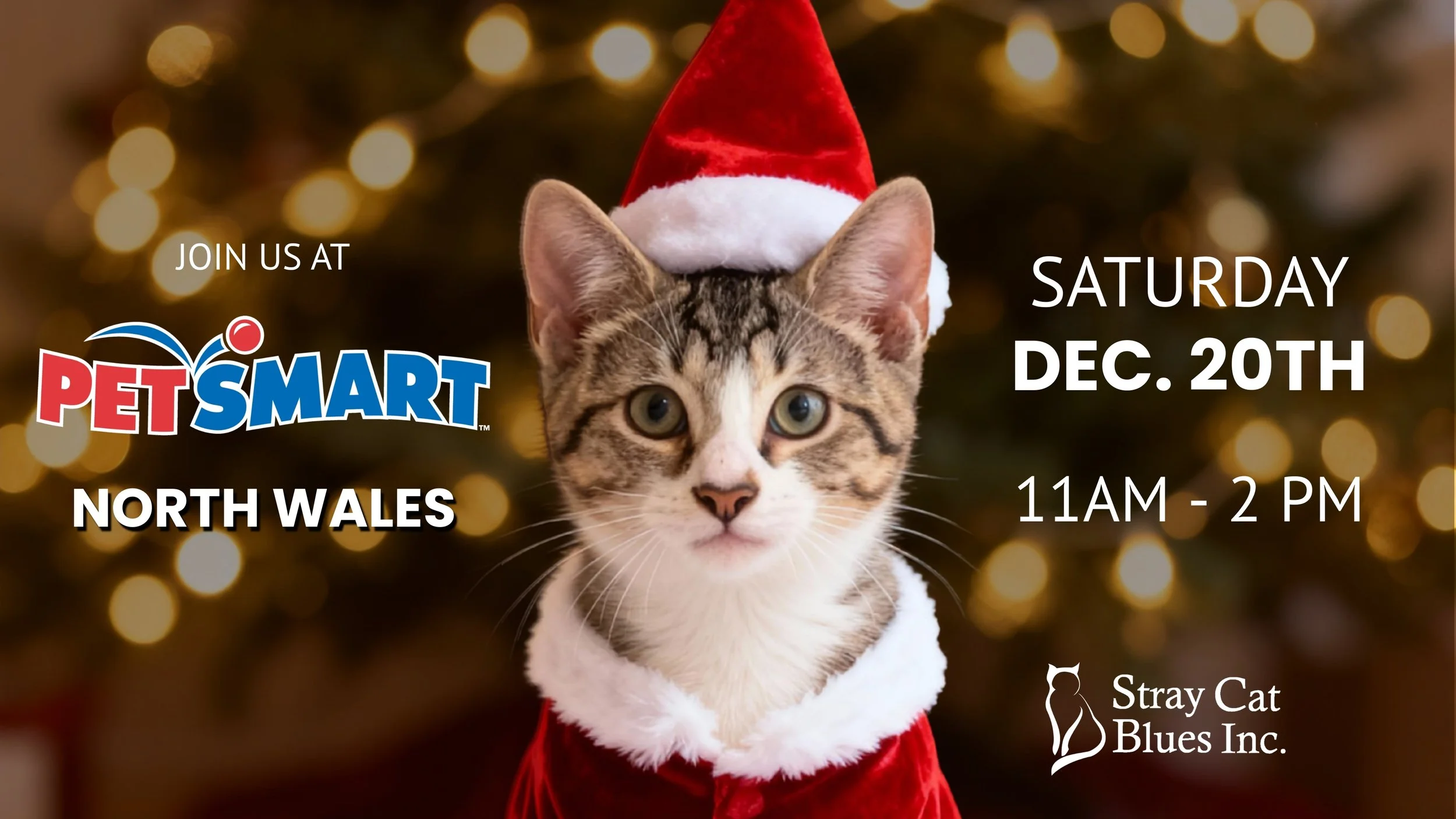 Holiday Adoption Event - PetSmart North Wales