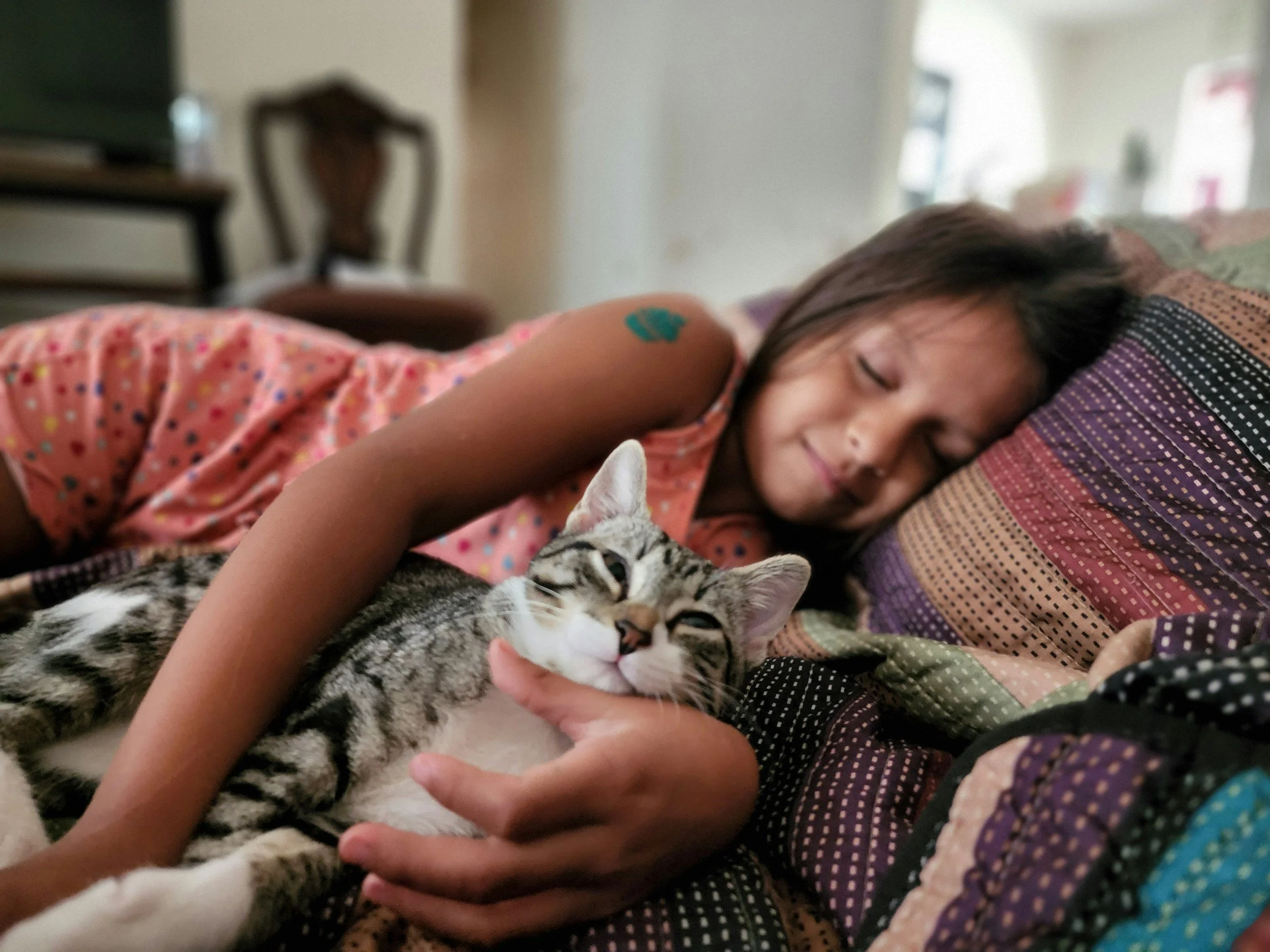 Child sleeping with a cat