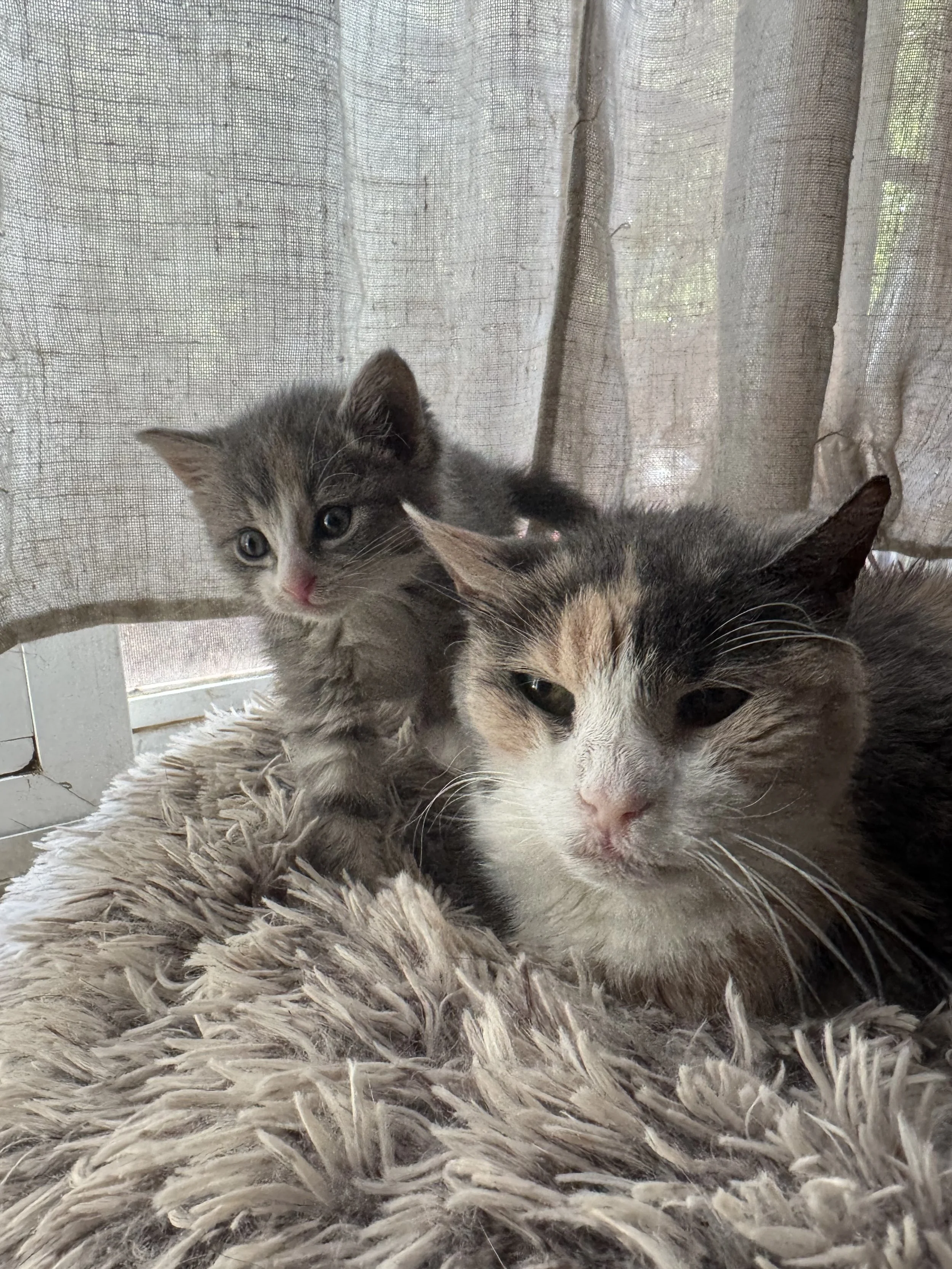 Celebrating Together Tuesday!