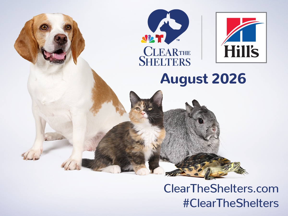 Collegeville - NBC10 Clear The Shelters Celebration