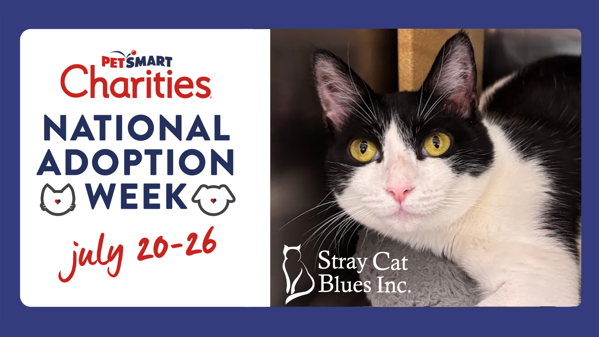 Collegeville - National Adoption Week