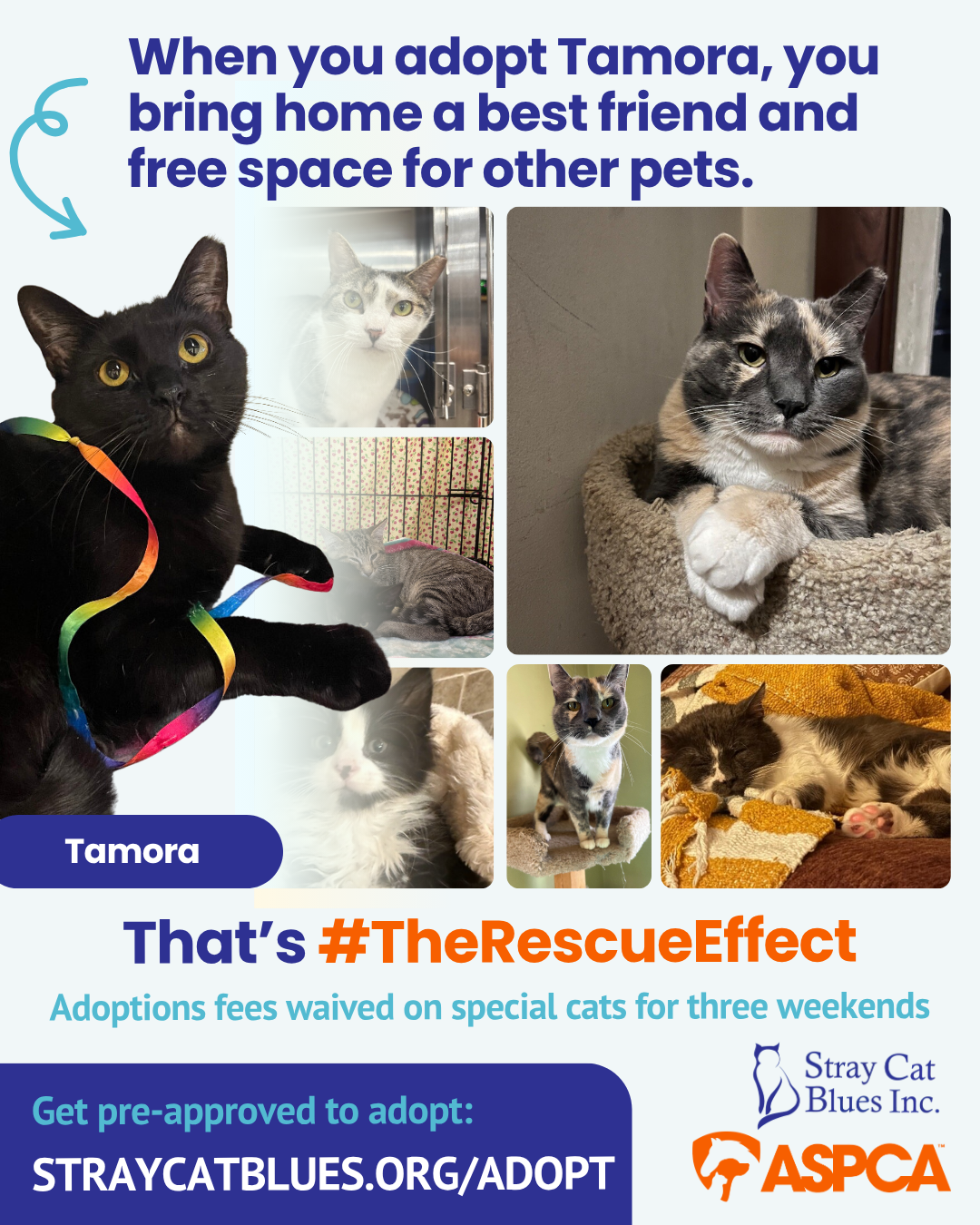 Introducing #TheRescueEffect