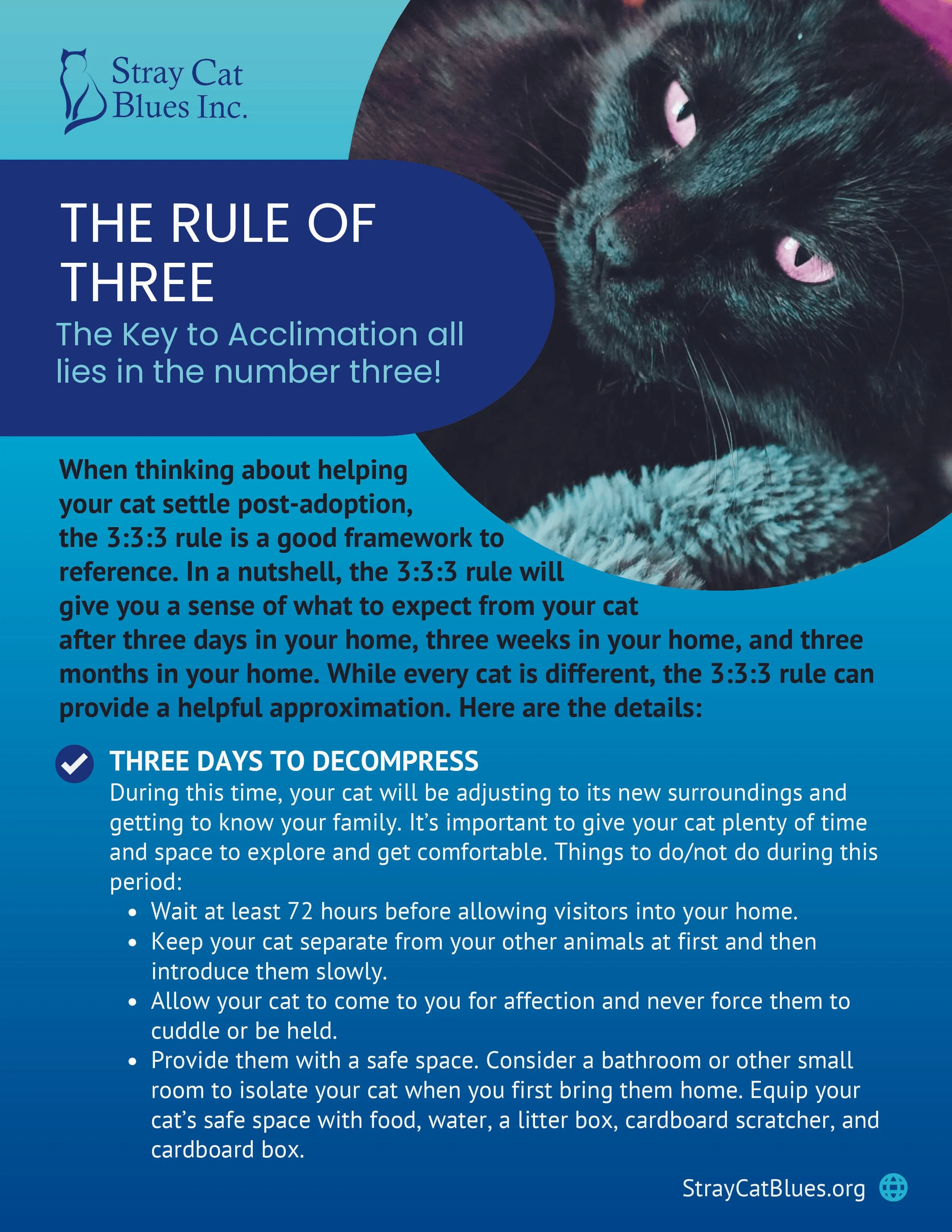 Flyers Adoption Folder (2)_Page_13_Image_0001.jpg