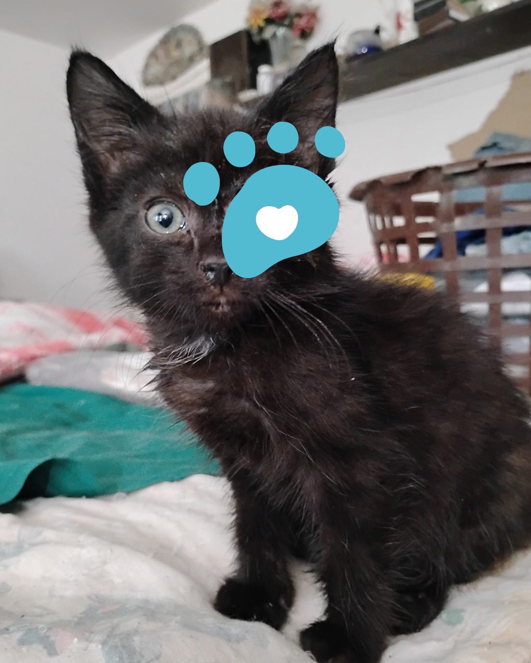 Butter's painful ruptured eye was removed