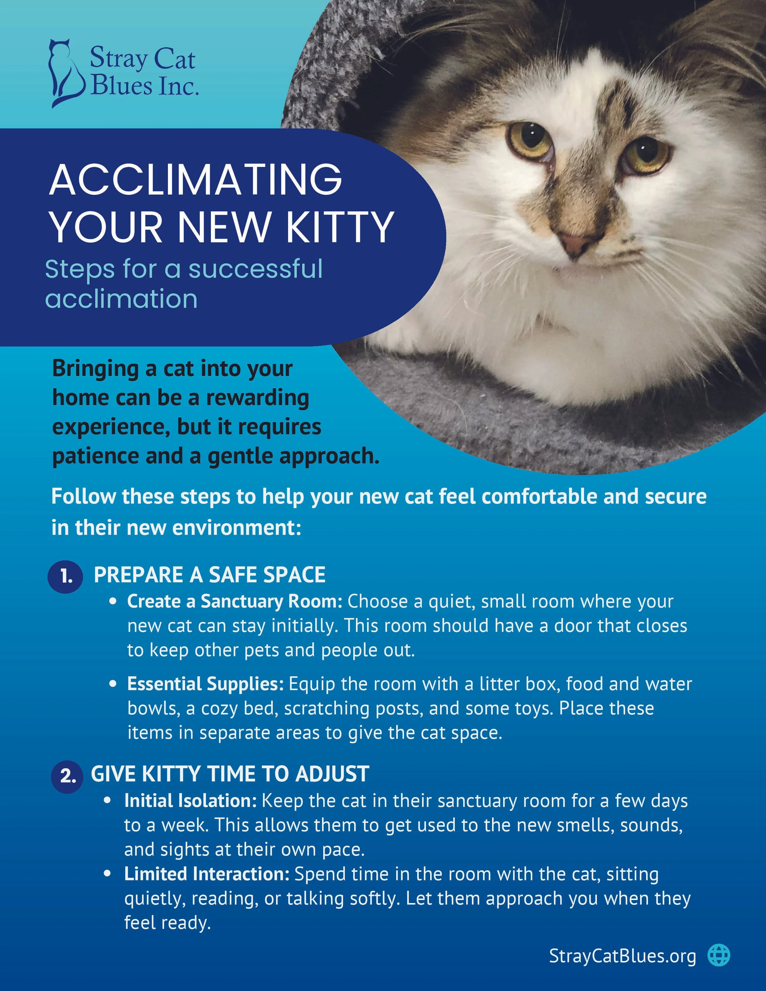 Flyers Adoption Folder (2)_Page_02_Image_0001.jpg