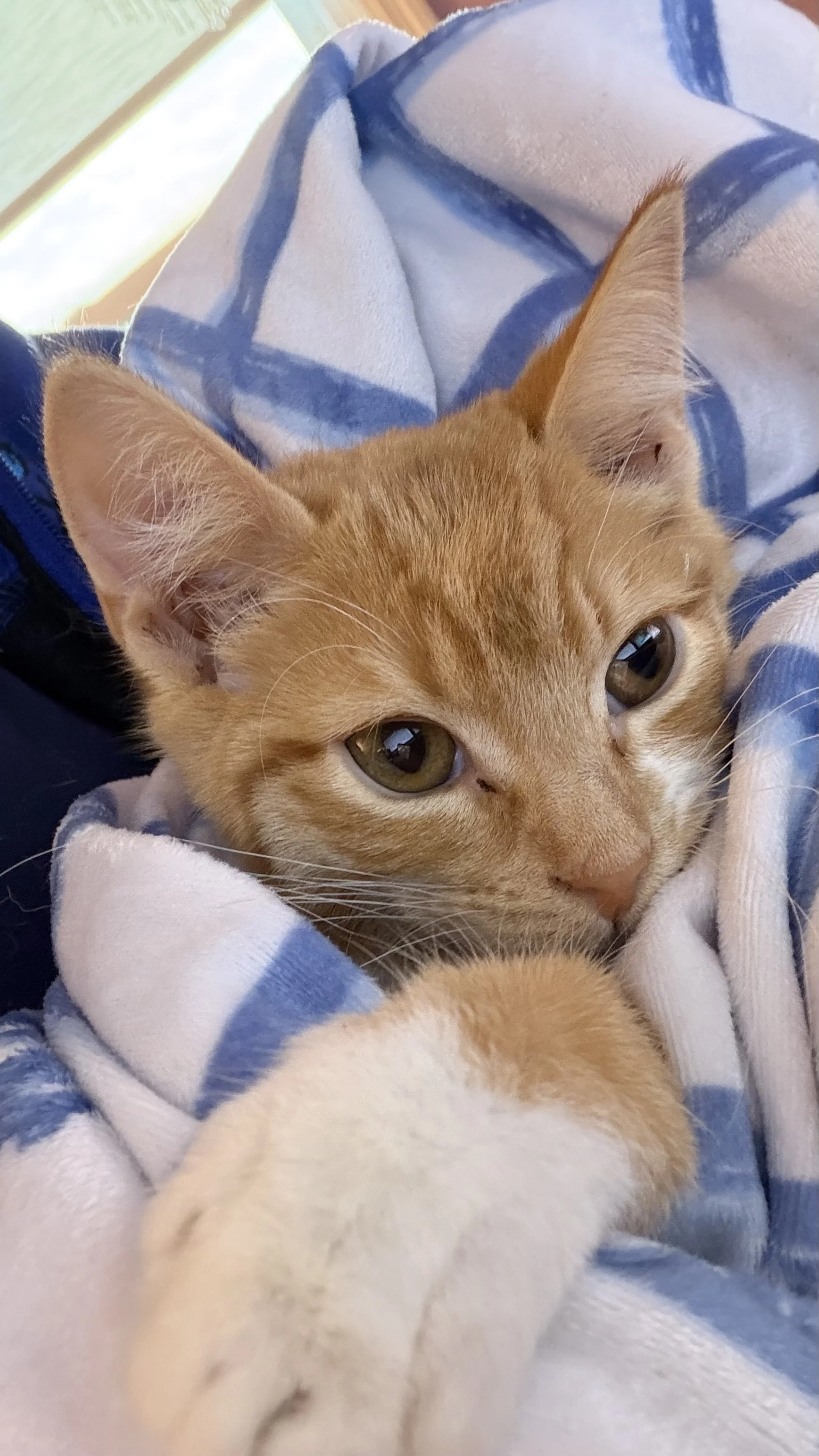 Elliot's future looks bright