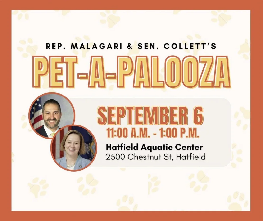 Petpalooza