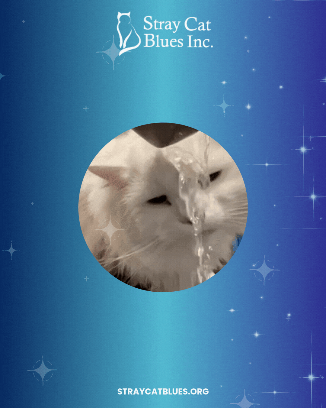 Volunteer of the Month: Lucy Gardner