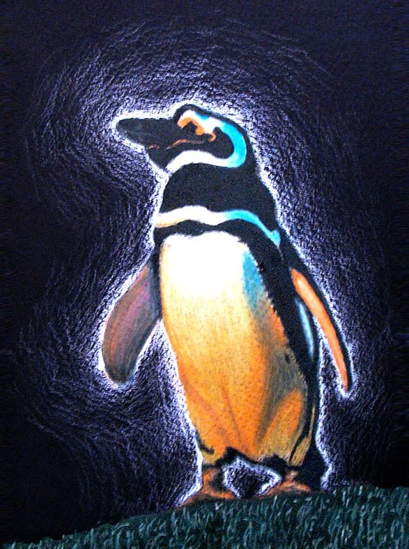 penguin.jpg