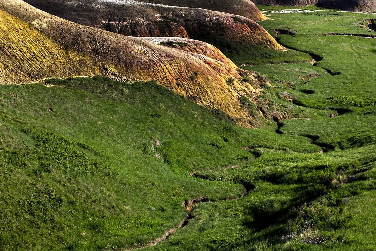 Lush green grass with a river winding down the middle. Badlands to the left. South Dakota. 