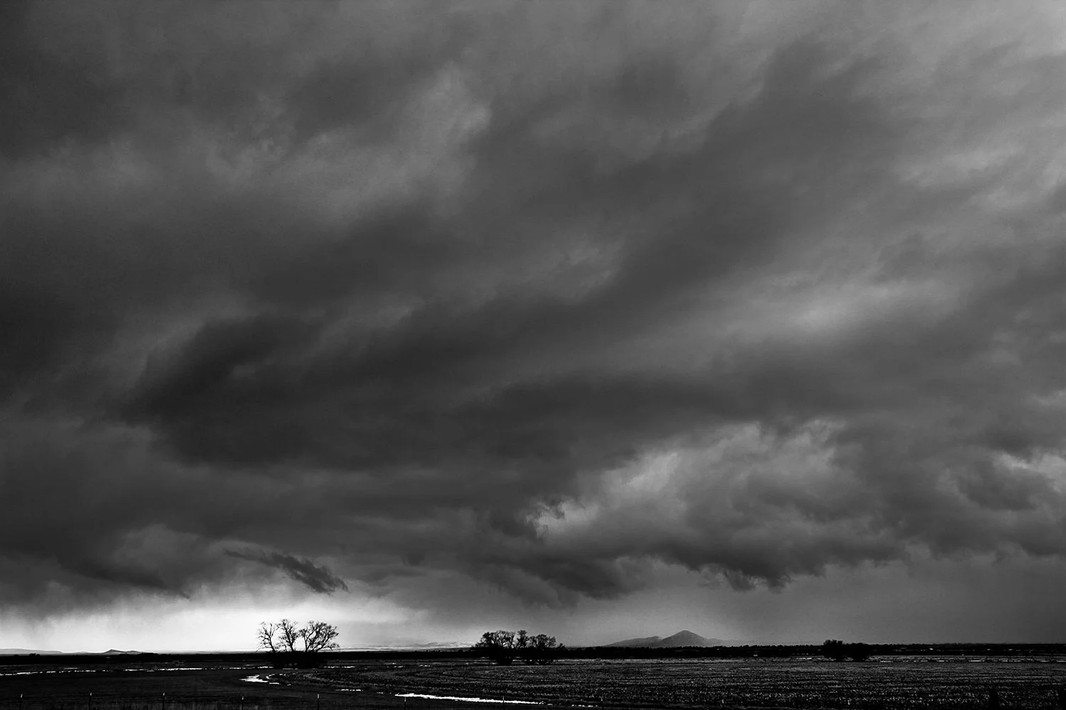 IMG_5544-Edit 2.jpg