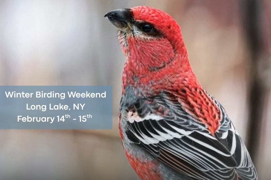 Winter Birding Weekend
