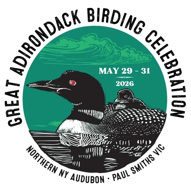 Great Adirondack Birding Celebration