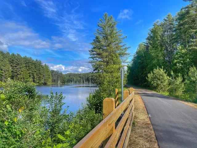Bird Outing at Adirondack Rail Trail