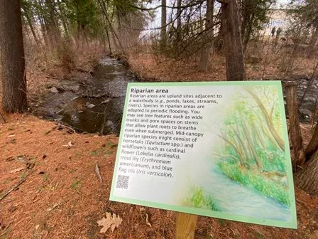 Bird Outing at Rugar Woods