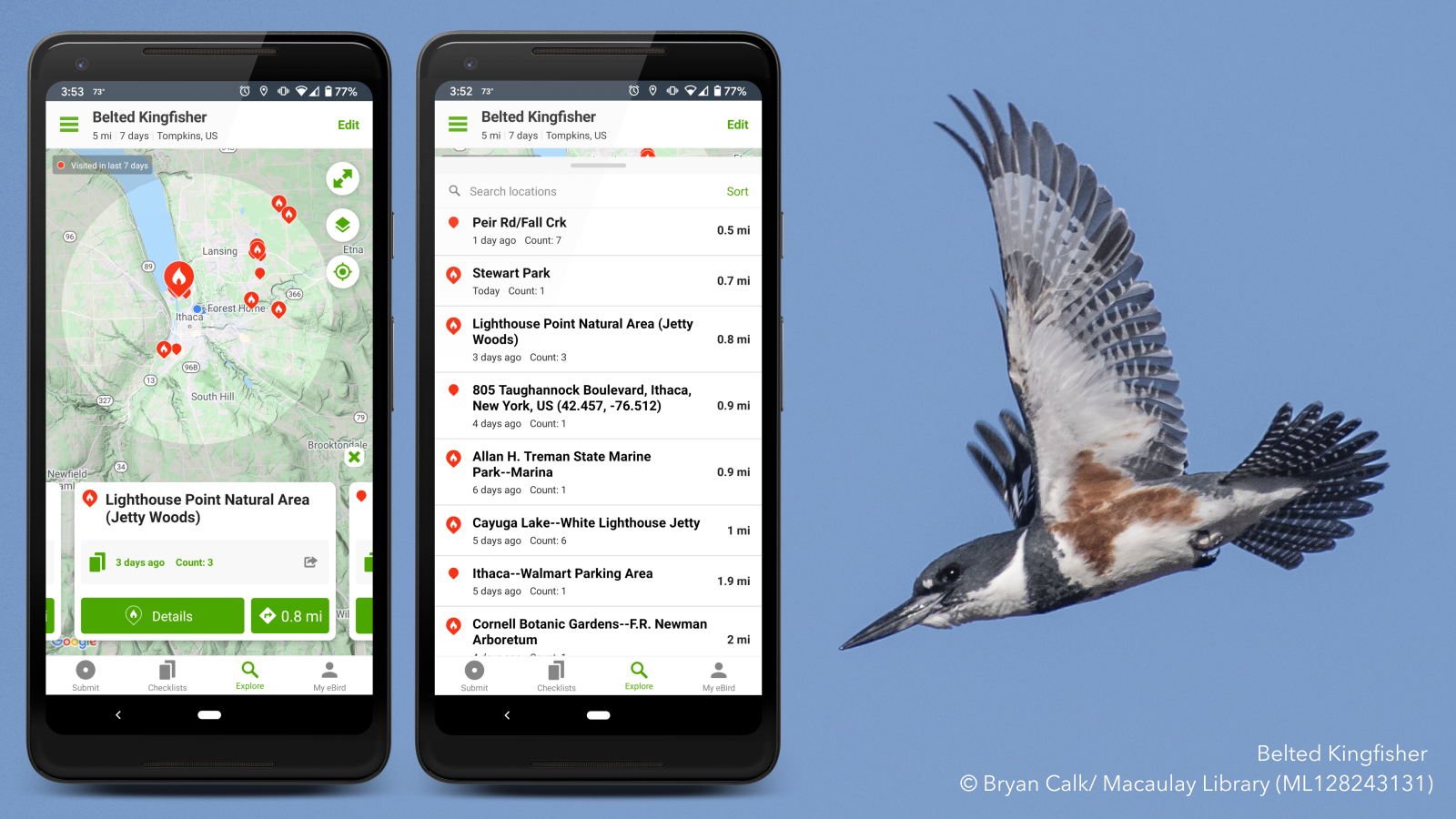 Introduction to Merlin Bird ID App and eBird Mobile App (May 11th + 13th)
