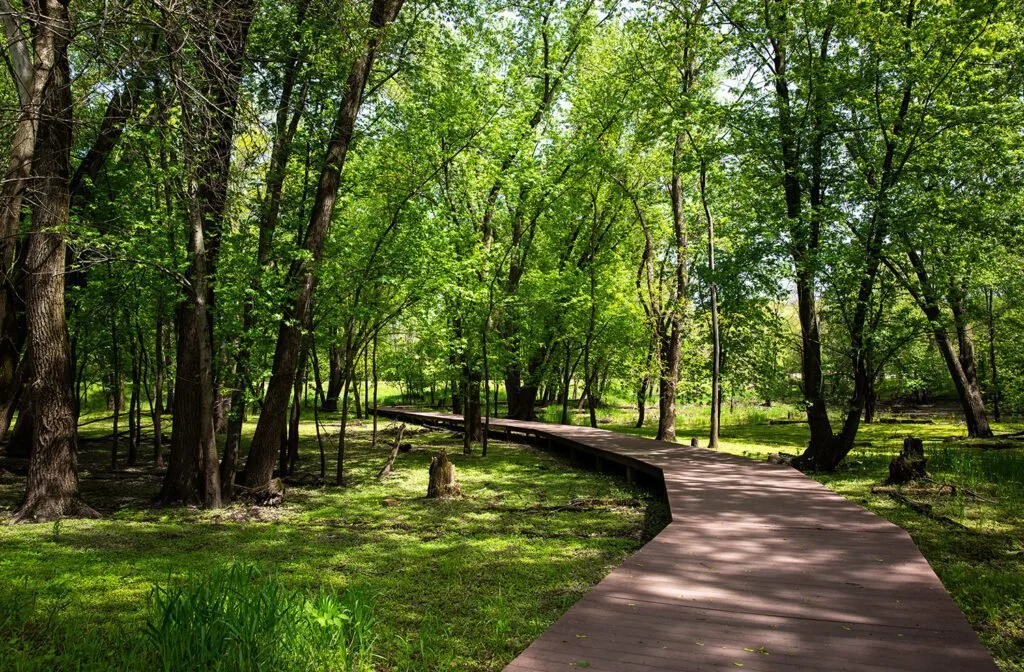 Bird Outing at Indian Creek Nature Center