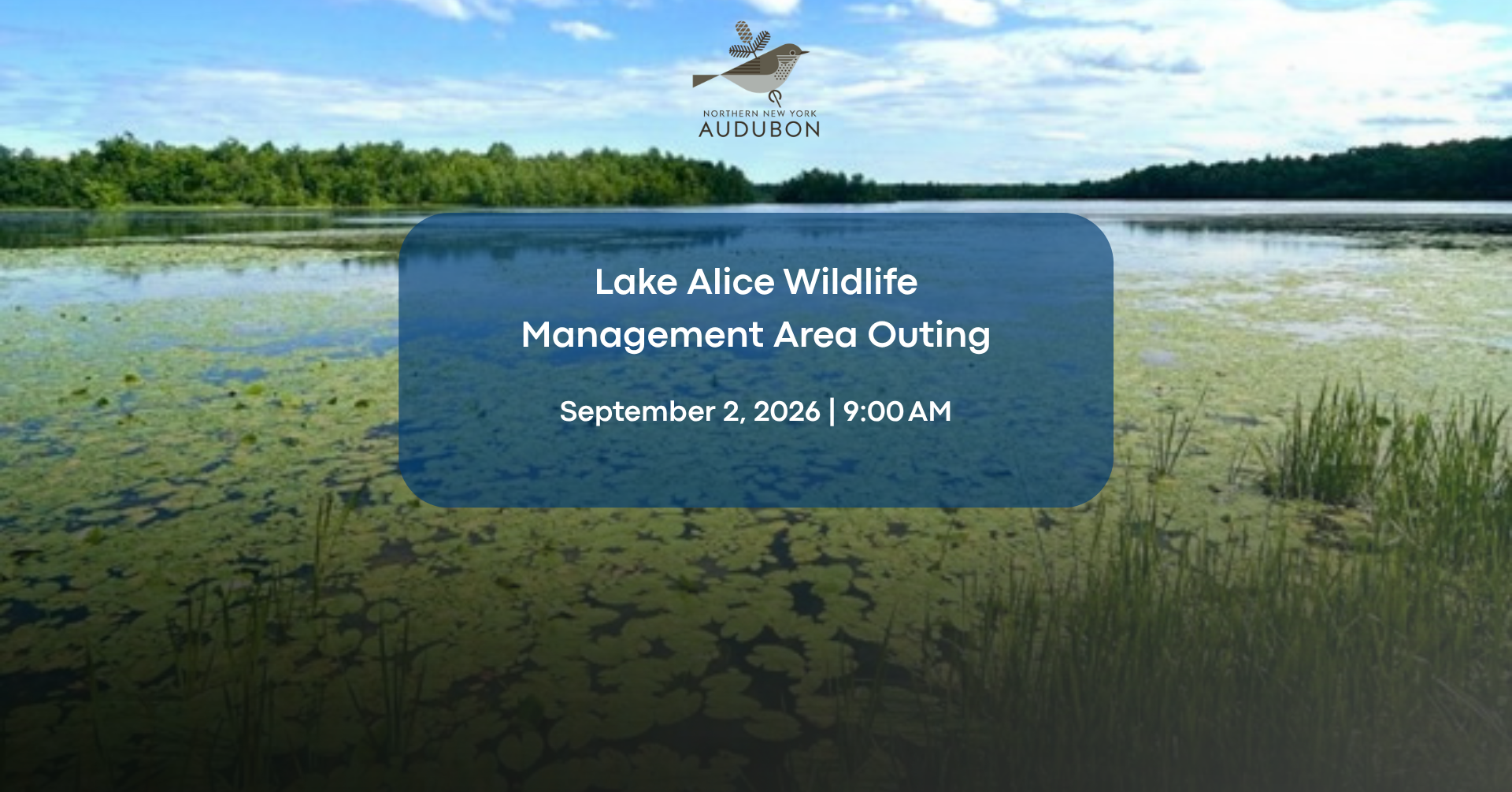 Lake Alice WMA Outing