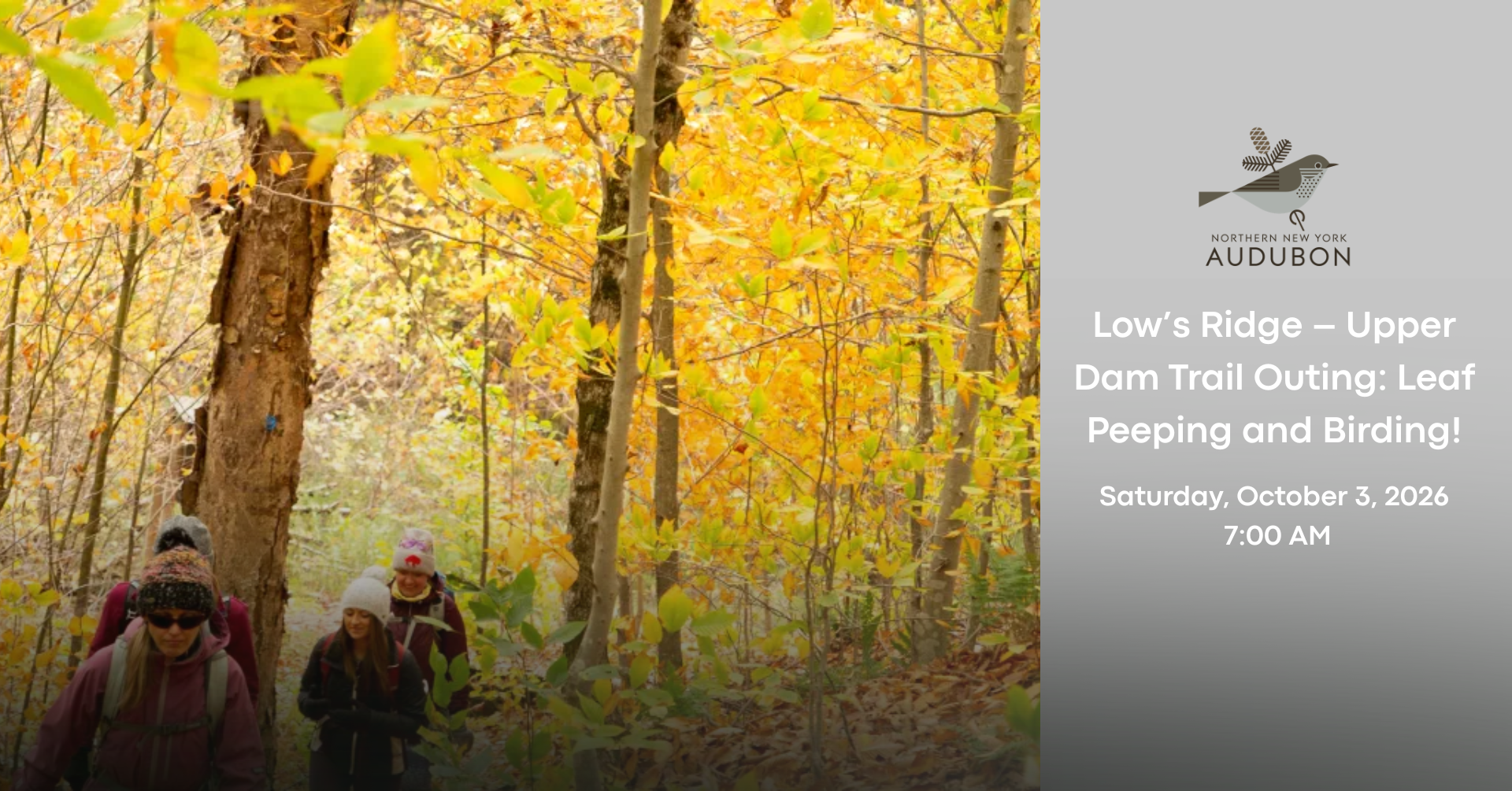 Low’s Ridge | Upper Dam Trail- Outing