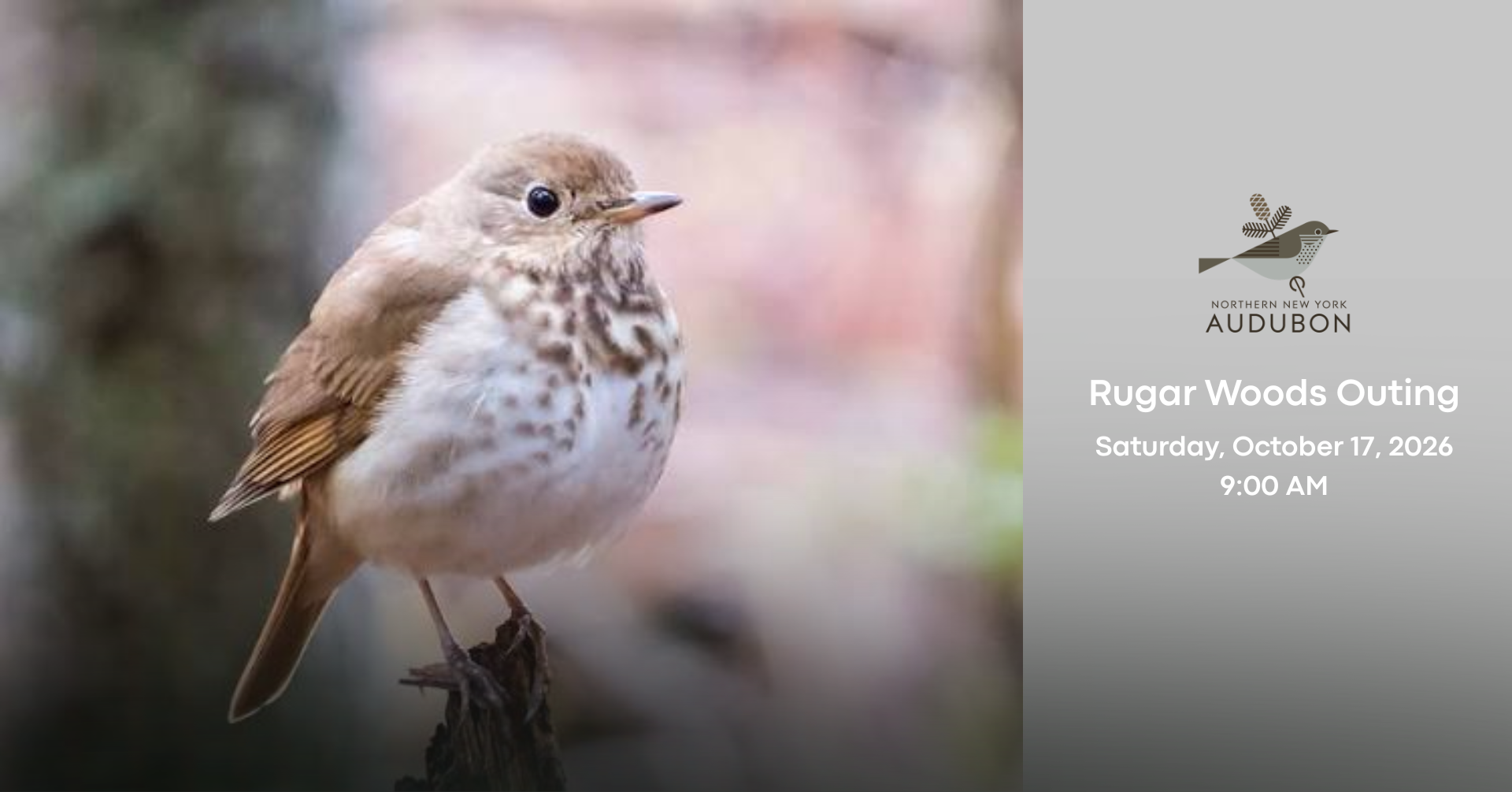 Rugar Woods Outing