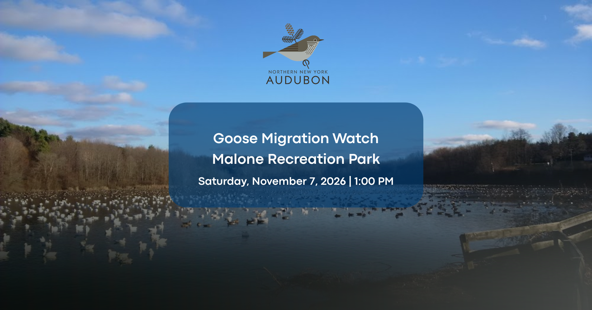 Goose Migration Watch | Malone Recreation Park