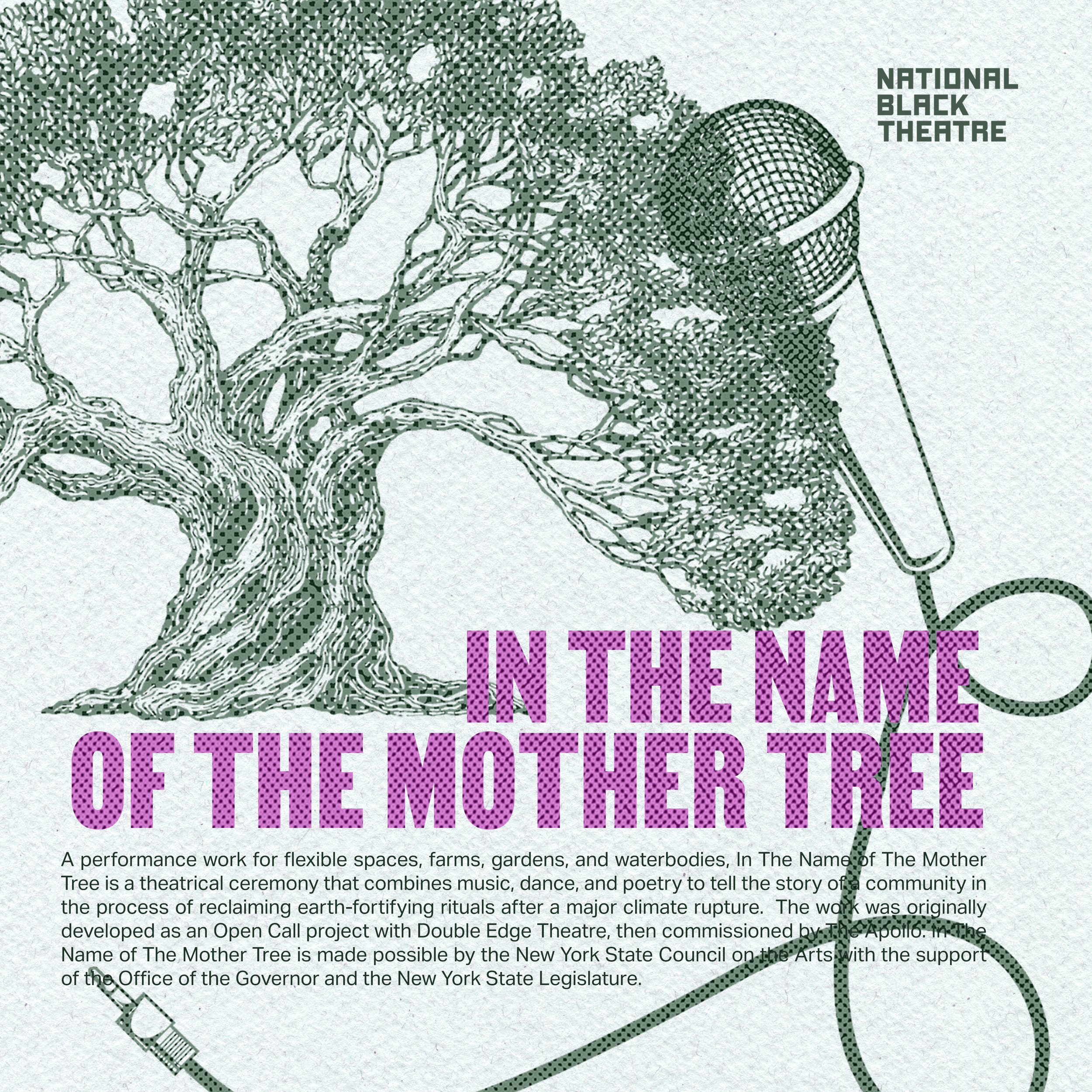 MOTHER TREE SAMPLE.png