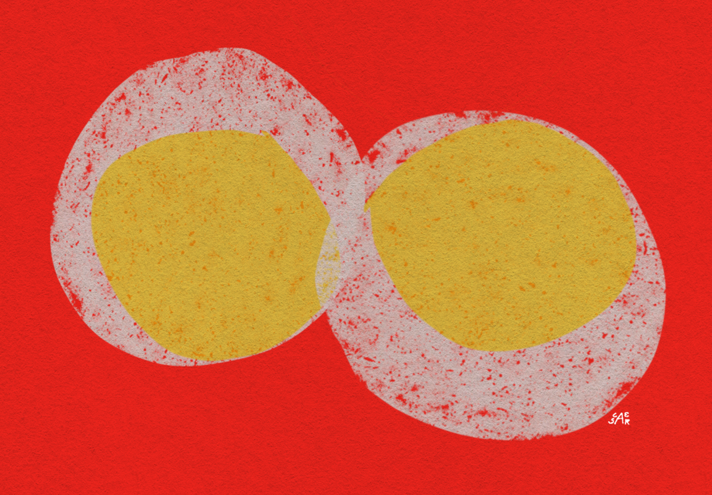 Hard Boiled Eggs