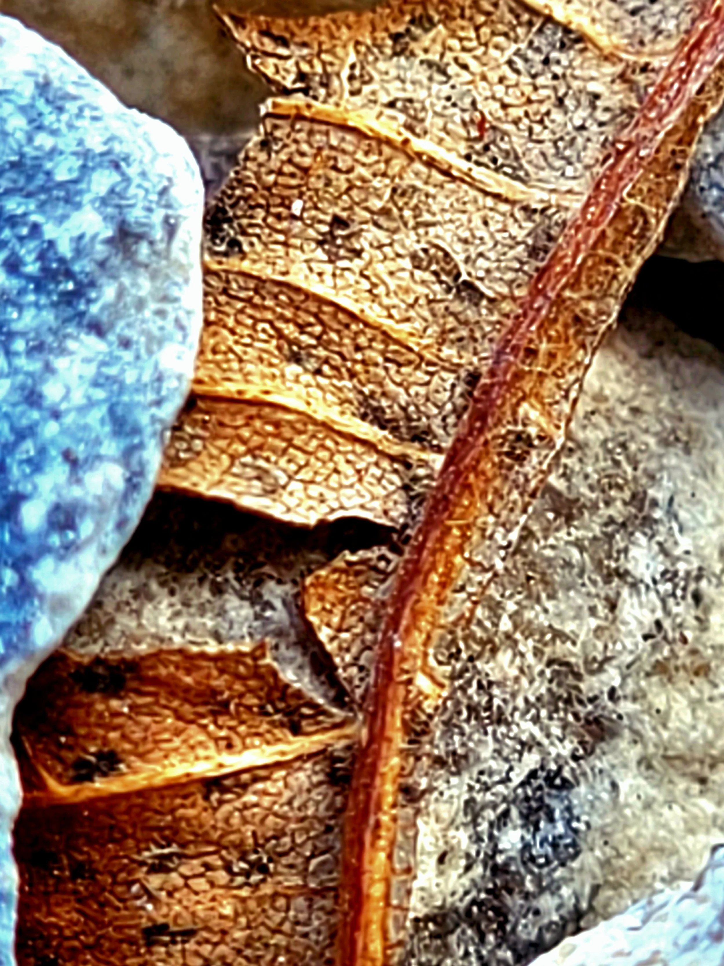20220320_155125.jpg
