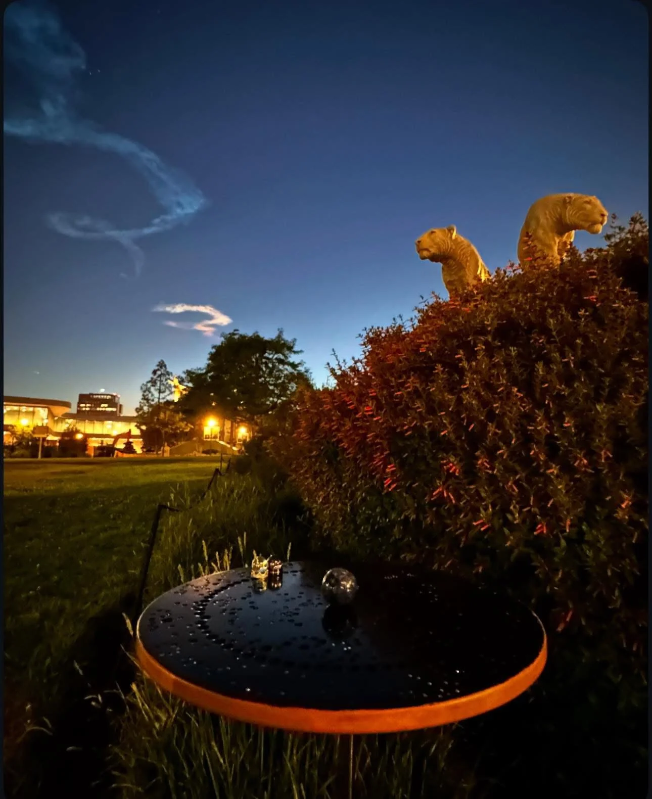 Title: The Warrior King (Mars conj. Regulus)