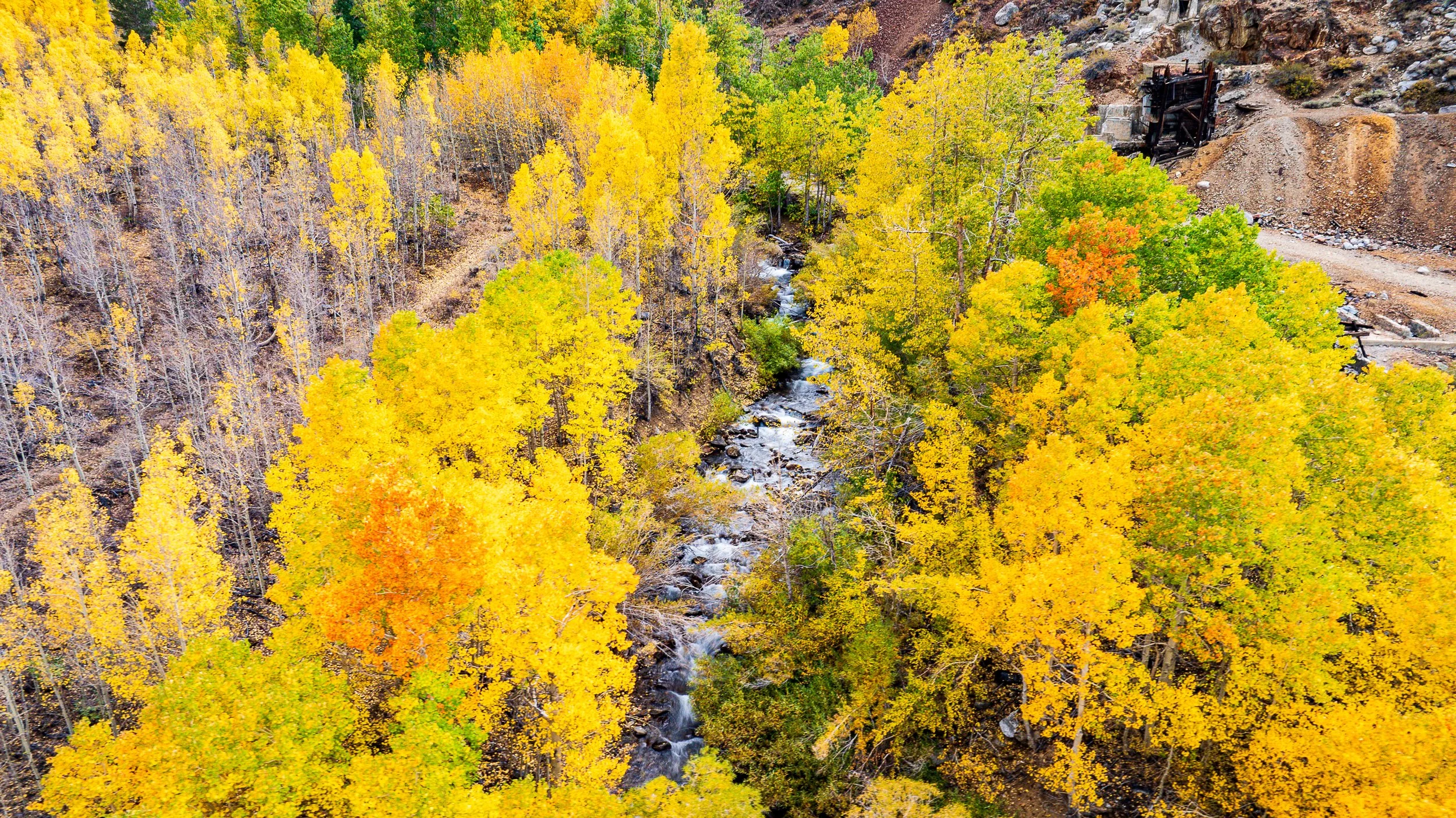 DJI_0798.jpg