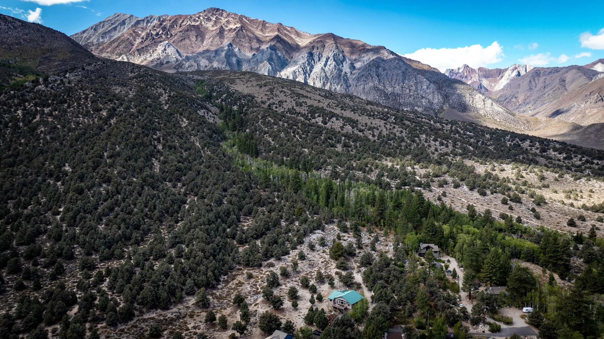Crowley Property, Mono County Real Estate