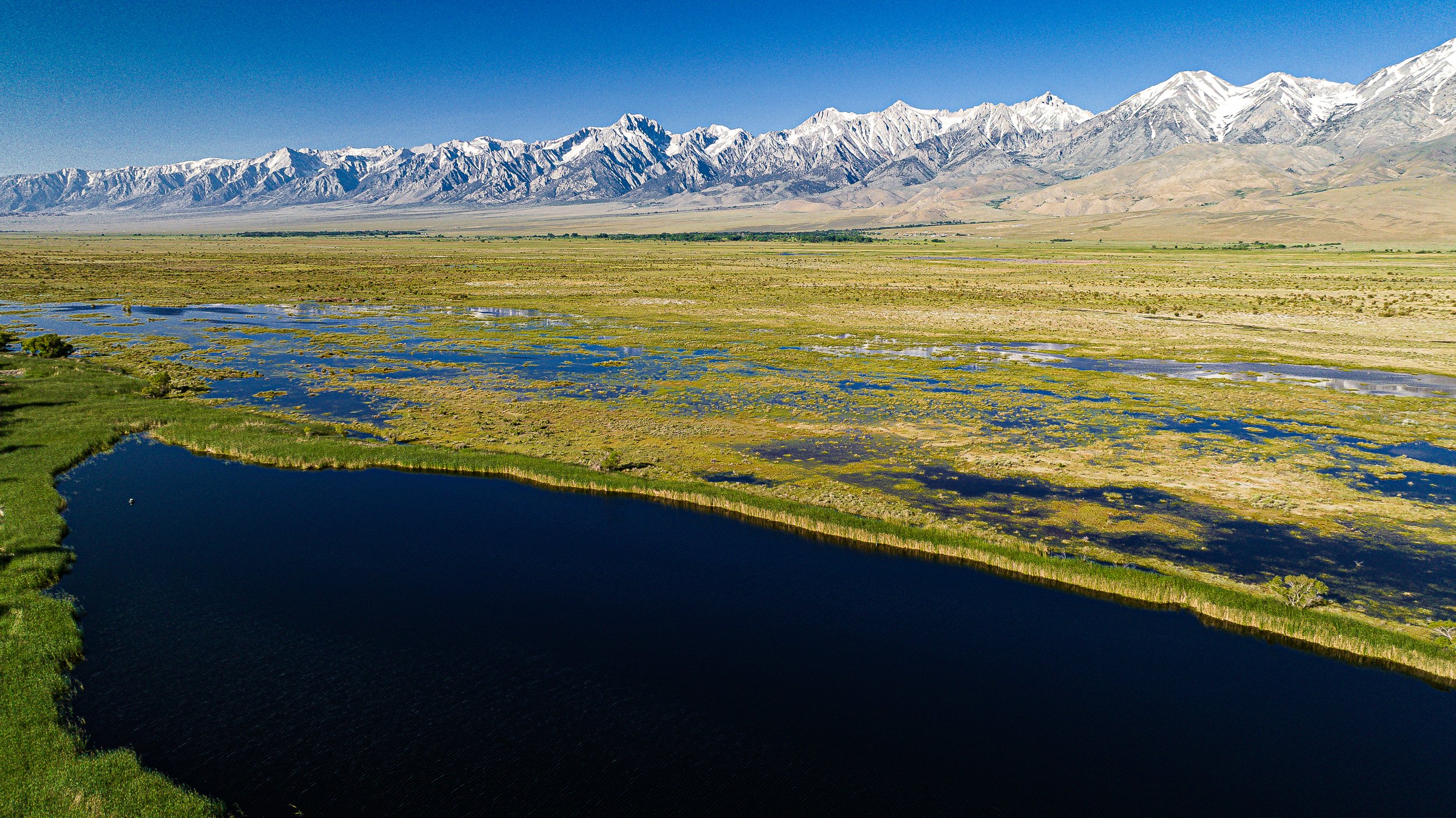 DJI_0702.jpg
