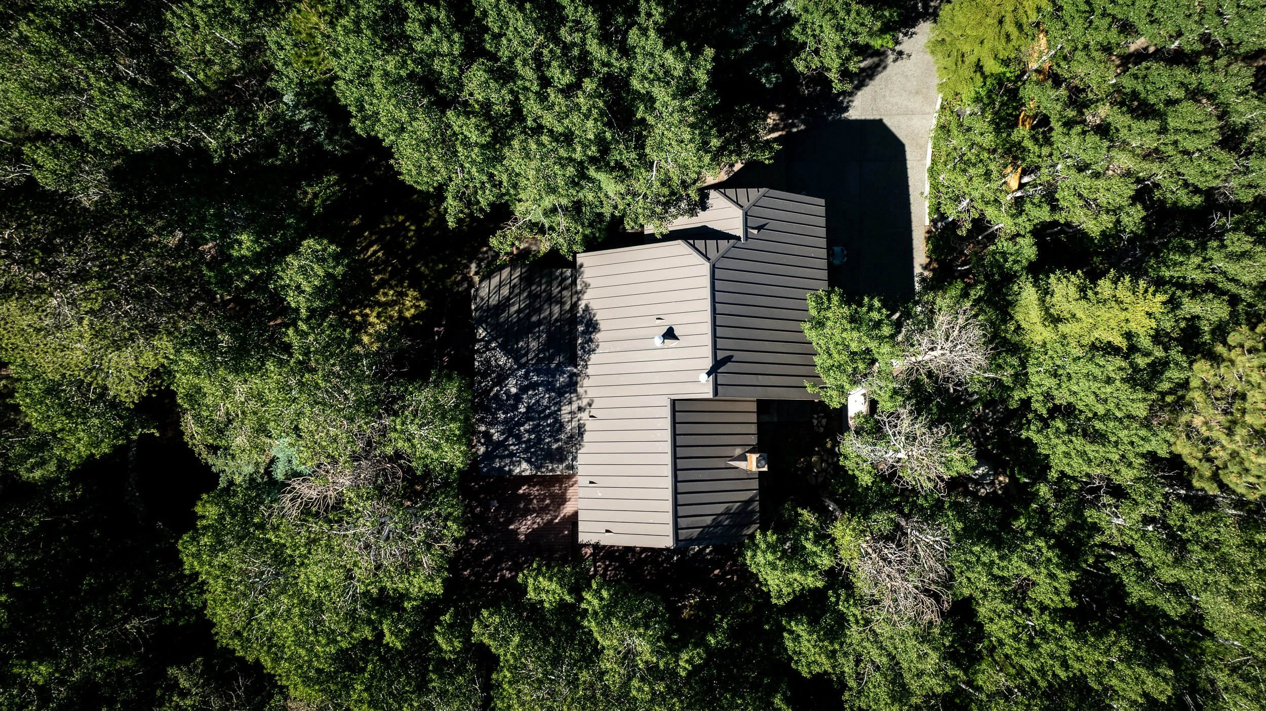 Nadir view, Crowley home