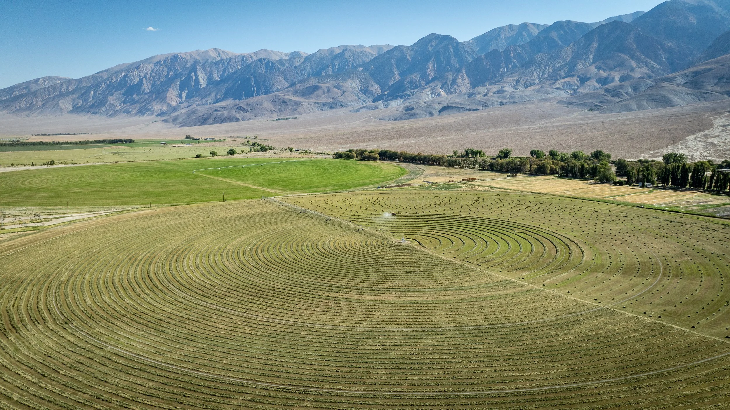 Hammil Valley Ranches - Inyo County Properties