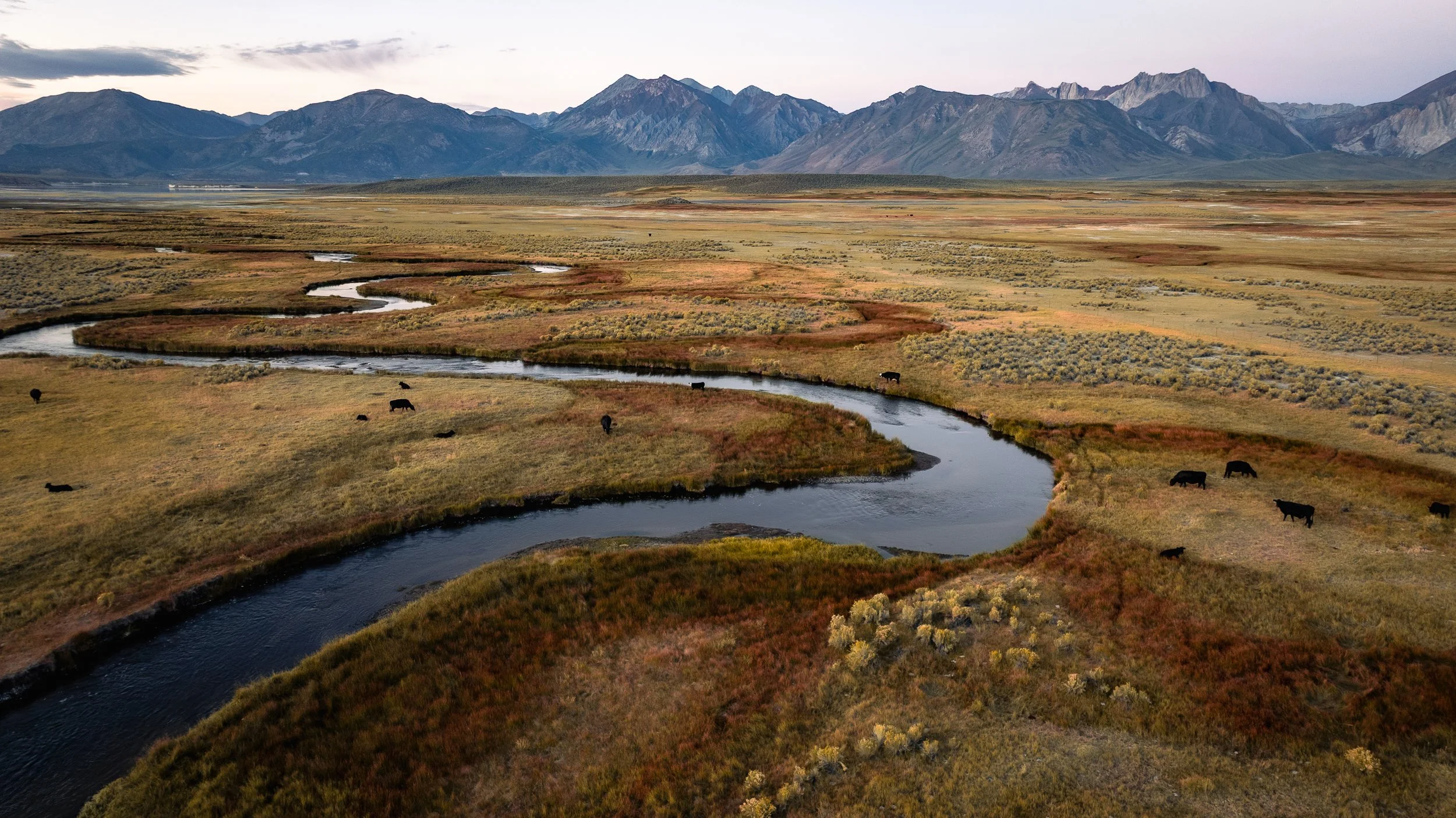 DJI_0434.jpg