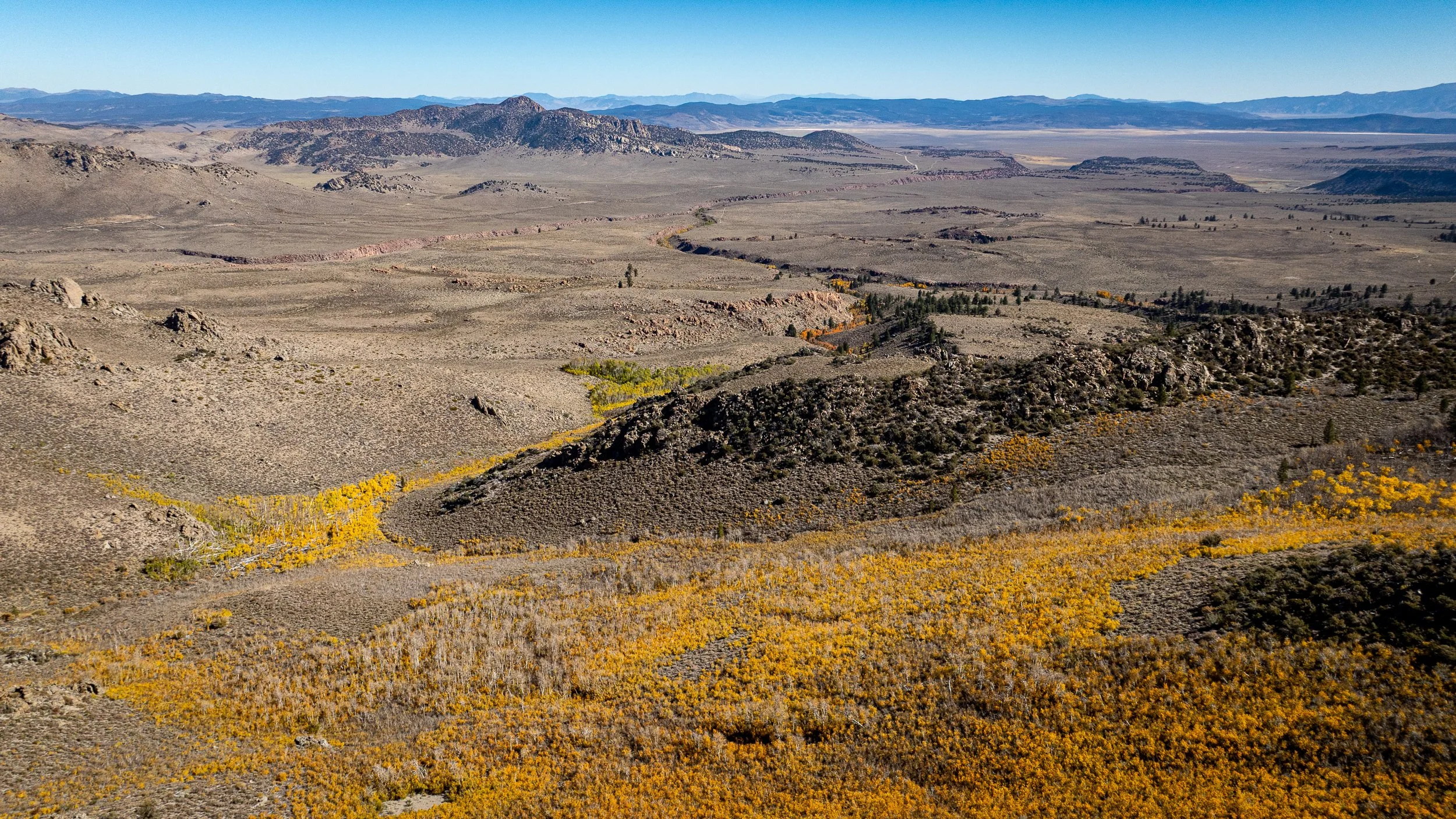 DJI_0421.jpg