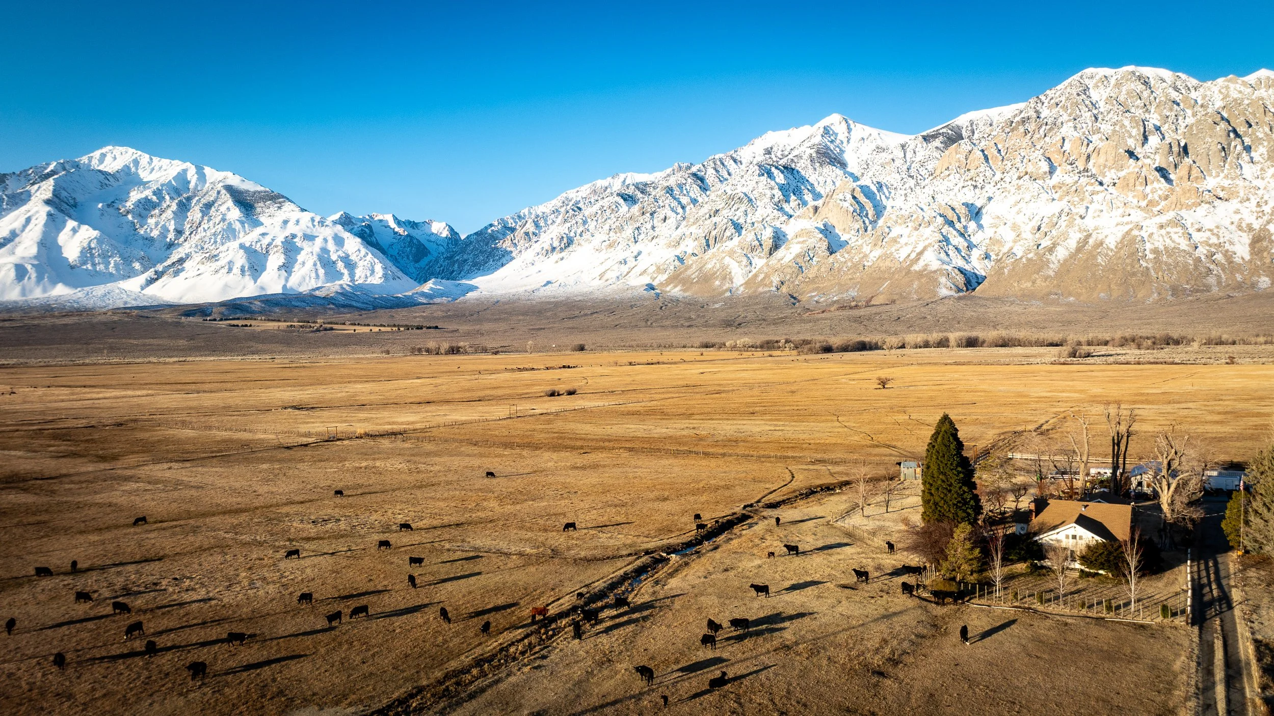 Round Valley Ranch, Bishop CA
