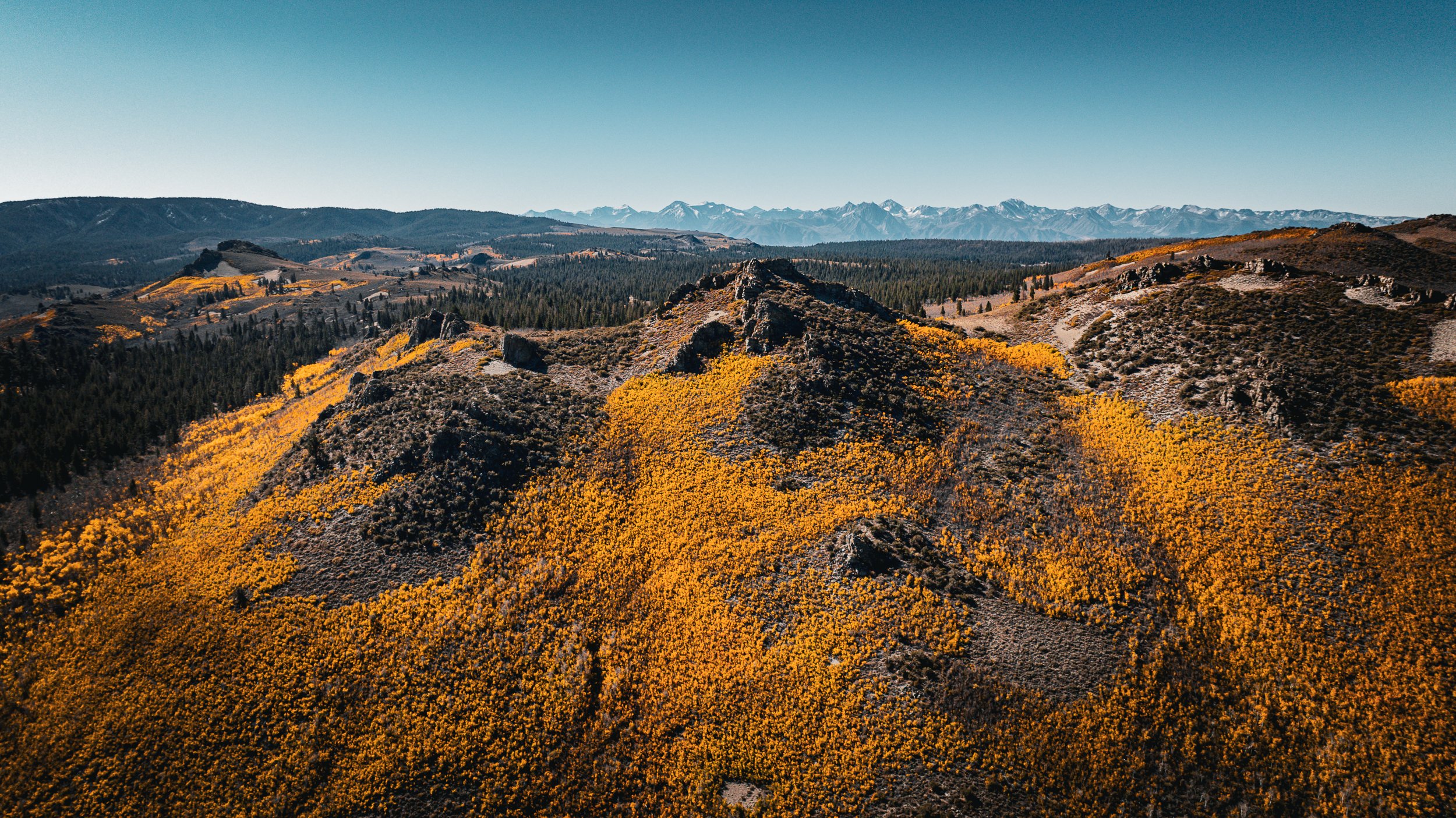 DJI_0384.jpg